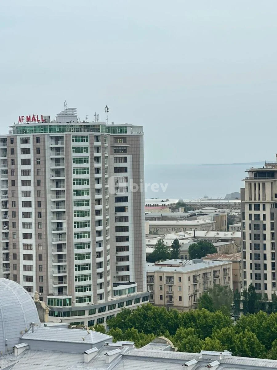 4-комнатная квартира, Насиминский район, Səməd Vurğun küç., Баку — фото 4