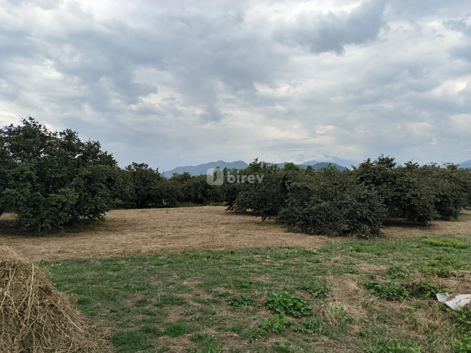 Участок 250 соток, Бум, Qəbələ Rayonu Bum Qəsəbəsi, Габалинский район — фото 2