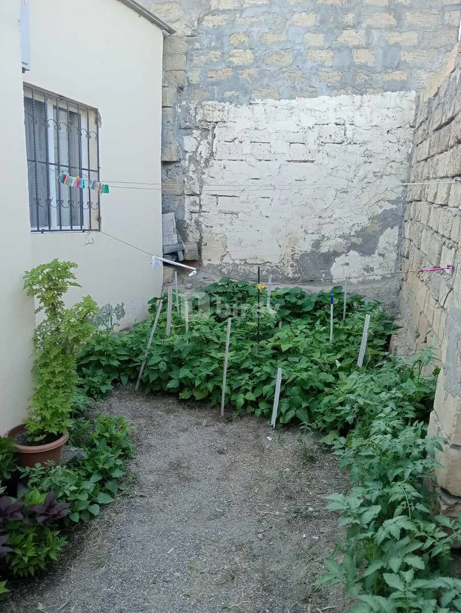 3-комнатный дом, пос. Бинагади, Cəfər Cabbarlı küç., Бинагадинский район — фото 23