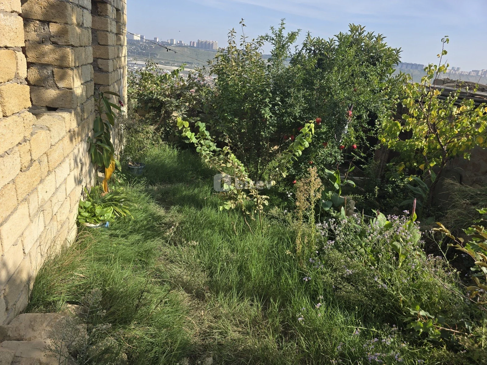 3-комнатный дом, пос. Сулутепе, Tuğay küçəsi, Бинагадинский район — фото 2