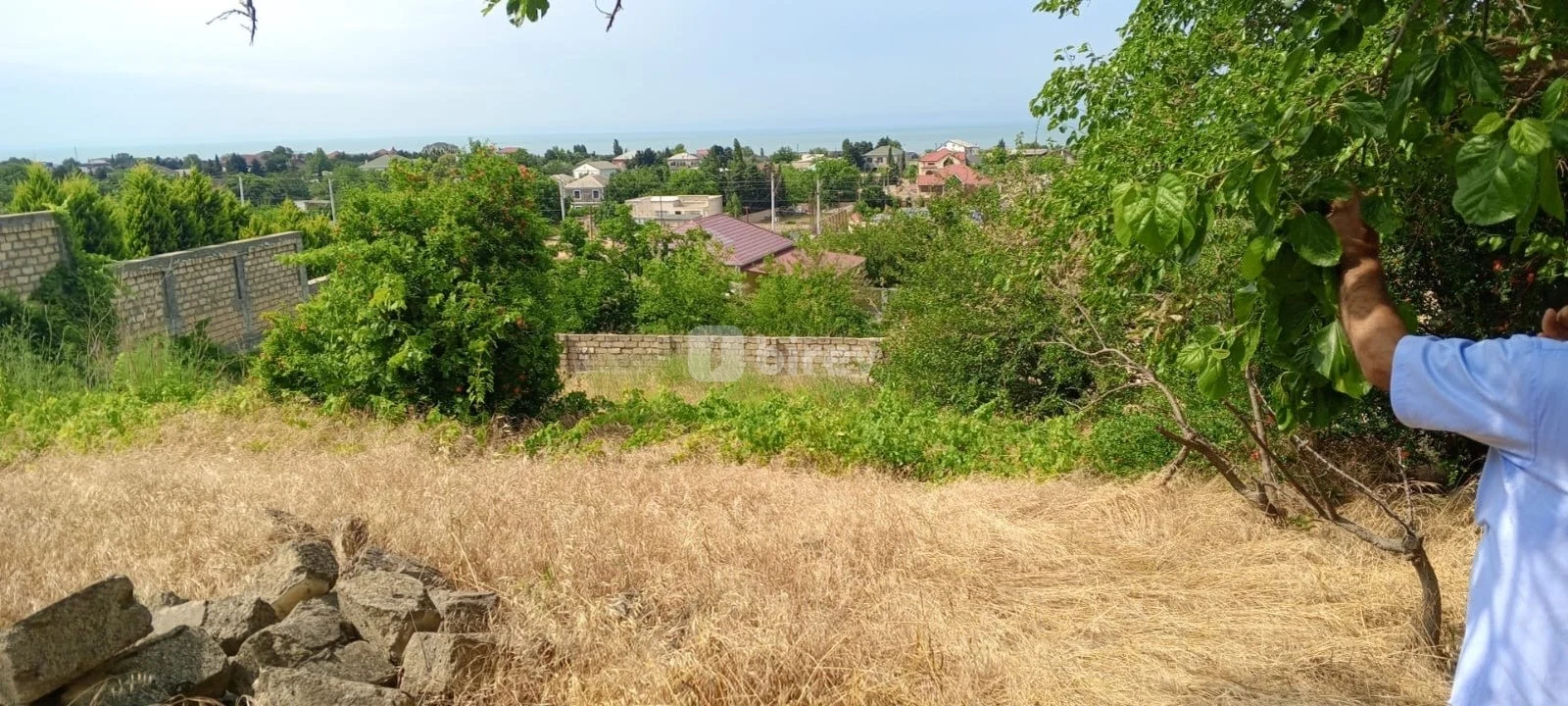 12 sot torpaq, Görədil q., Görədil qəsəbəsi, Abşeron rayonu — şəkil 3