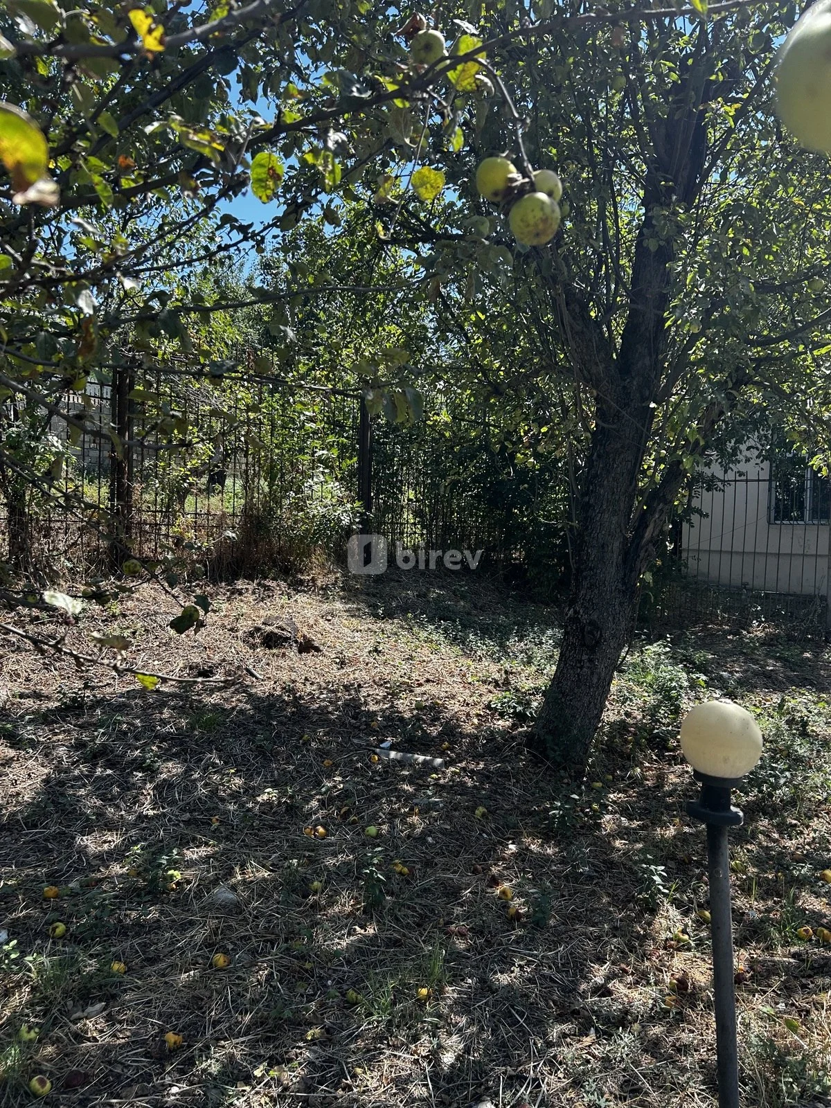 10 sot torpaq, Çuxuryurd, Çuxuryurd kəndi, Şamaxı rayonu — şəkil 1