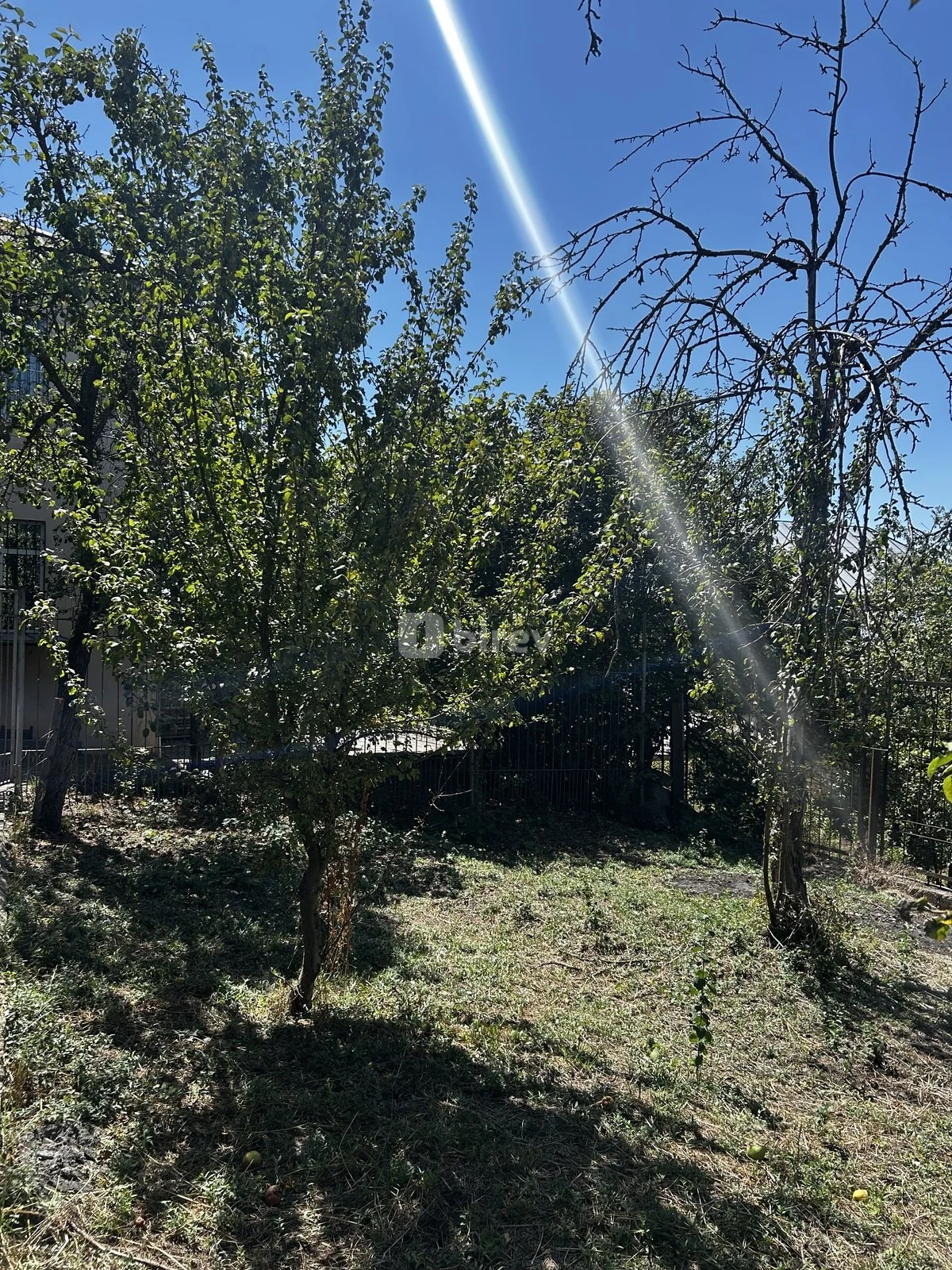 10 sot torpaq, Çuxuryurd, Çuxuryurd kəndi, Şamaxı rayonu — şəkil 2