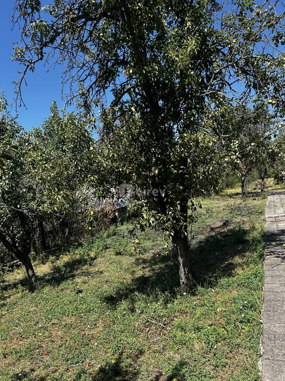 10 sot torpaq, Çuxuryurd, Çuxuryurd kəndi, Şamaxı rayonu — şəkil 4