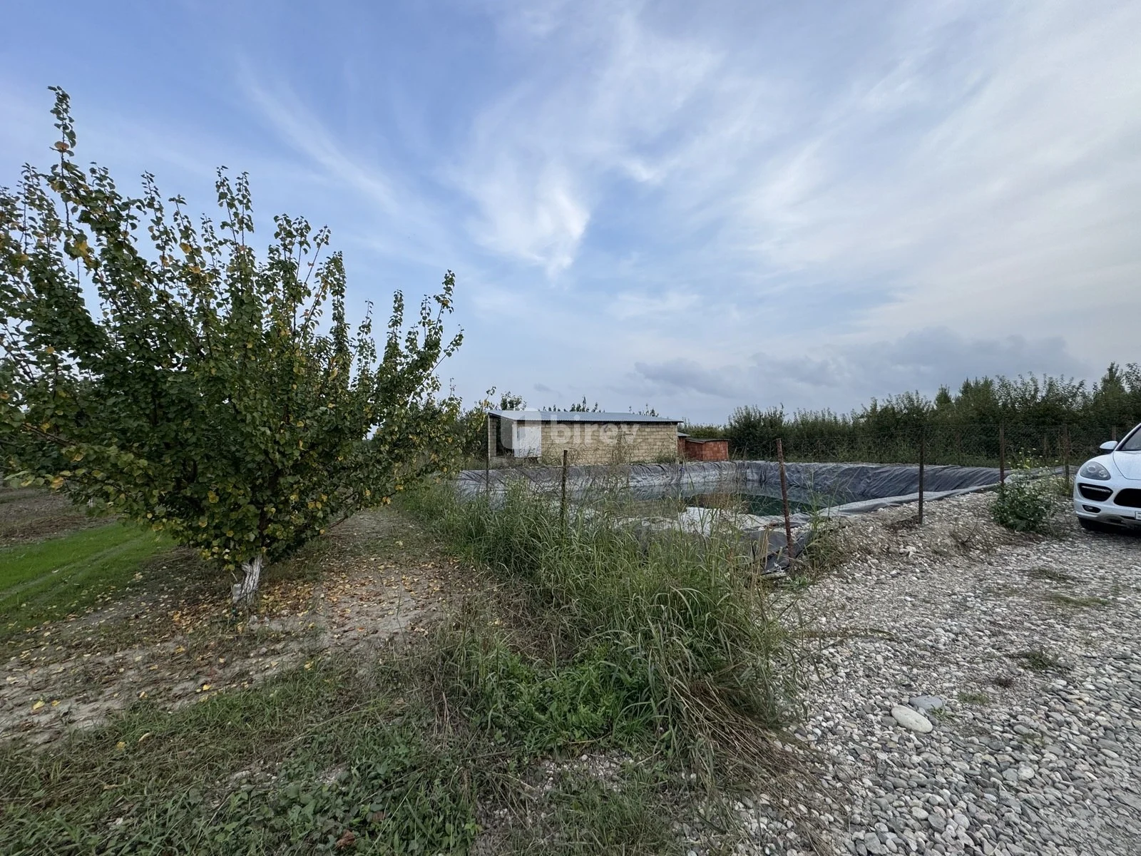 300 sot torpaq, Quba rayonu, Xuc kəndi — şəkil 5