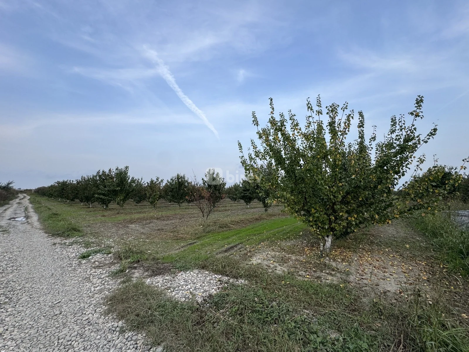 300 sot torpaq, Quba rayonu, Xuc kəndi — şəkil 6