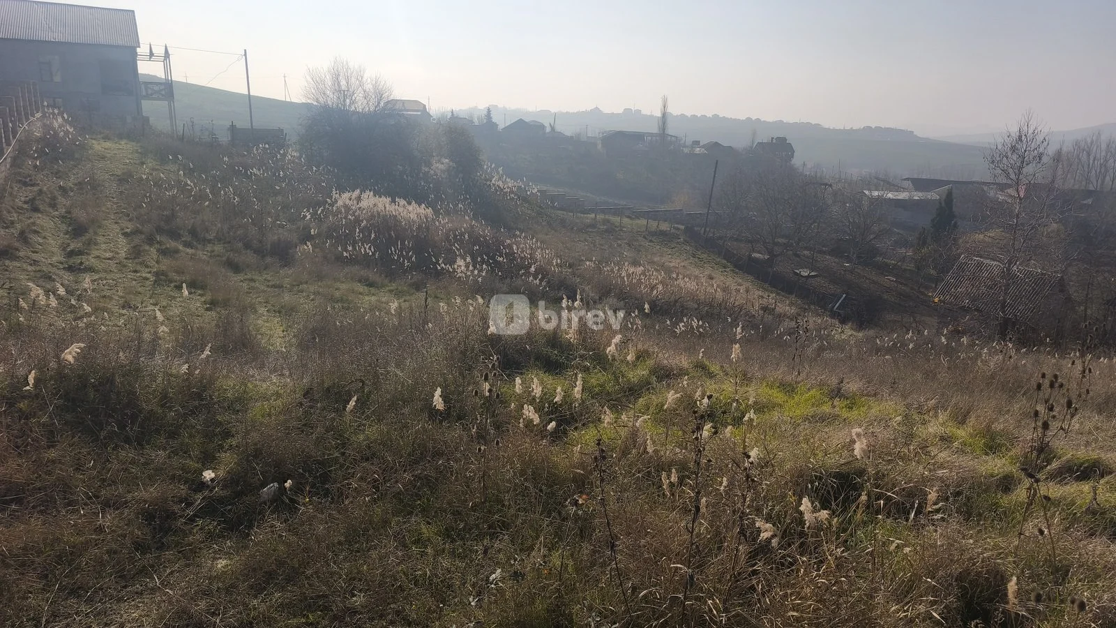 36 sot torpaq, Çuxuryurd, Şamaxı Şəhəri Çuxuryurd kəndi, Şamaxı rayonu — şəkil 2