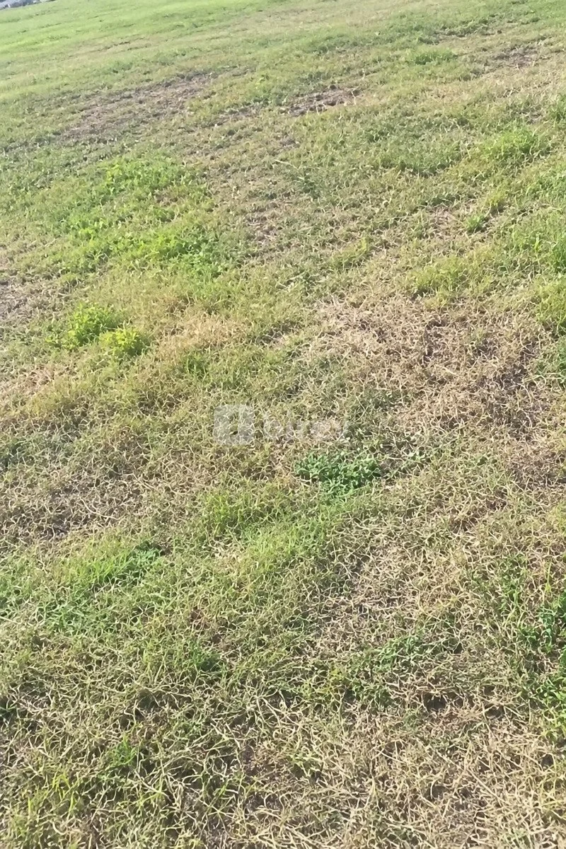 100 sot torpaq, Göyçay rayonu, Göyçay rayonu — şəkil 3