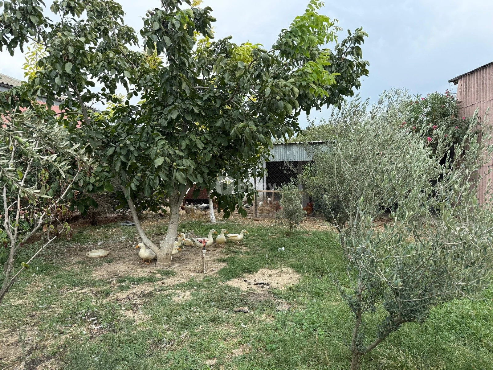 Obyekt, Ramana q., Ramana qəs., Sabunçu rayonu — şəkil 16