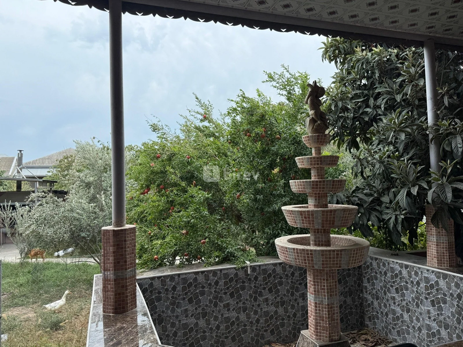 Obyekt, Ramana q., Ramana qəs., Sabunçu rayonu — şəkil 19