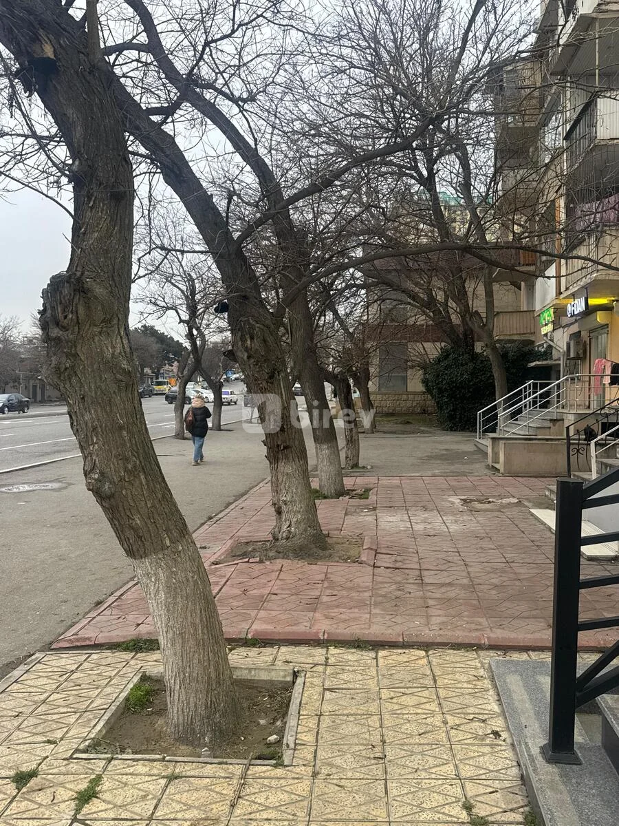 Obyekt, Yasamal q., Abbas Mirzə Şərifzadə küç., Yasamal rayonu — şəkil 5