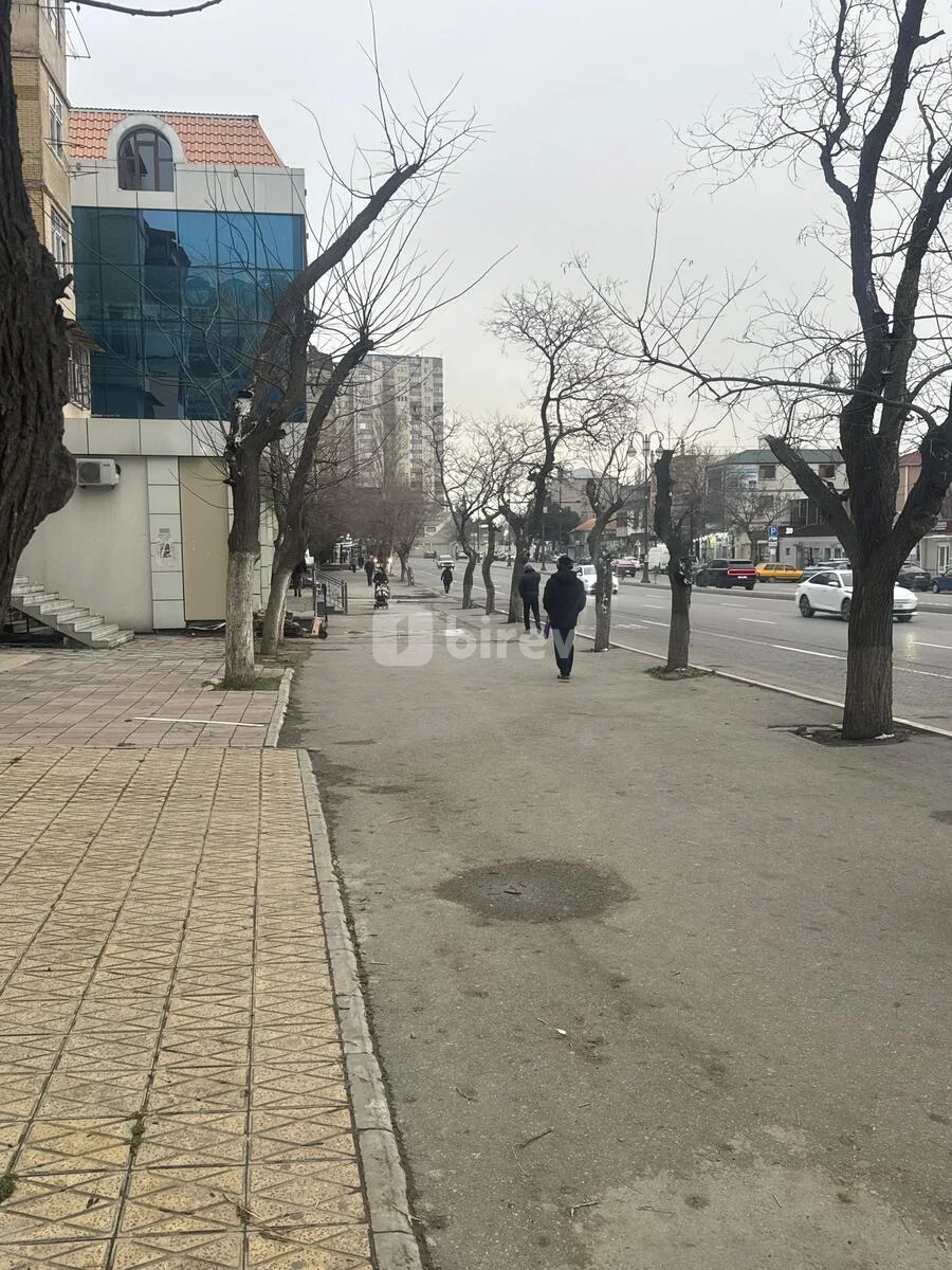 Obyekt, Yasamal q., Abbas Mirzə Şərifzadə küç., Yasamal rayonu — şəkil 15