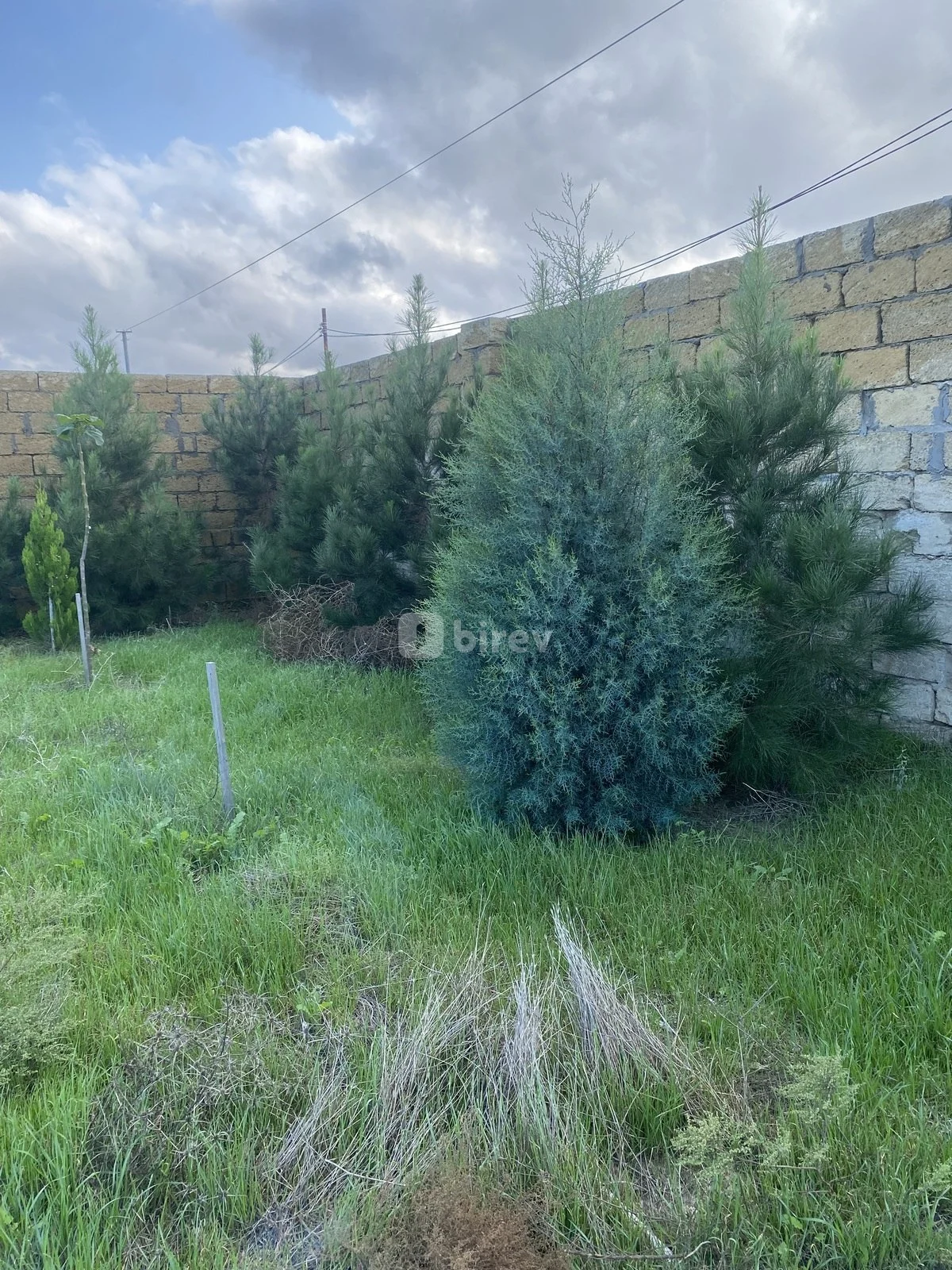 12 sot torpaq, Nardaran q., Nardaran qəs., Sabunçu rayonu — şəkil 2