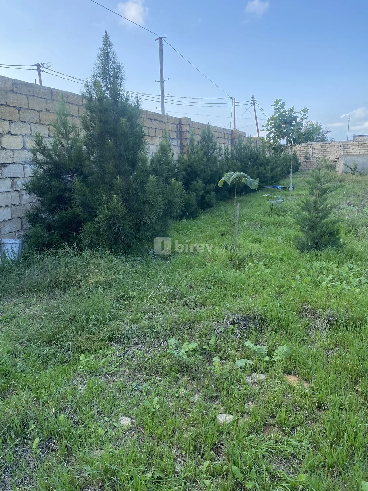 12 sot torpaq, Nardaran q., Nardaran qəs., Sabunçu rayonu — şəkil 3