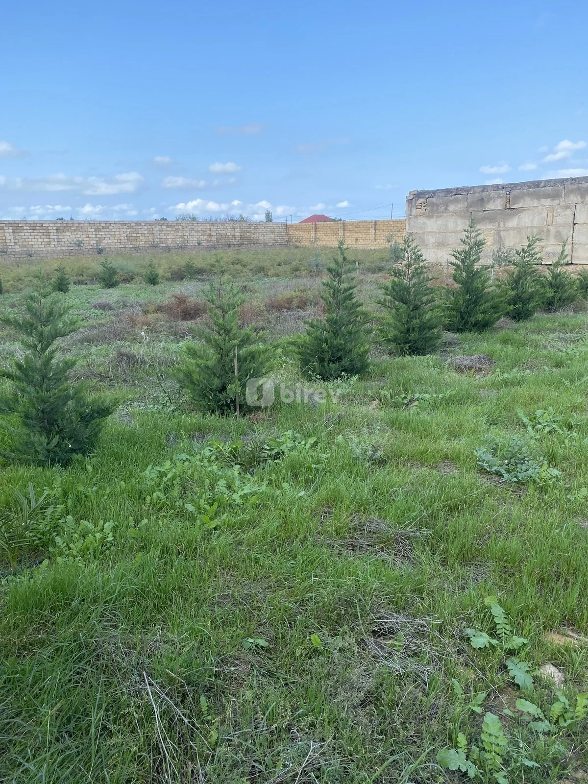 12 sot torpaq, Nardaran q., Nardaran qəs., Sabunçu rayonu — şəkil 4