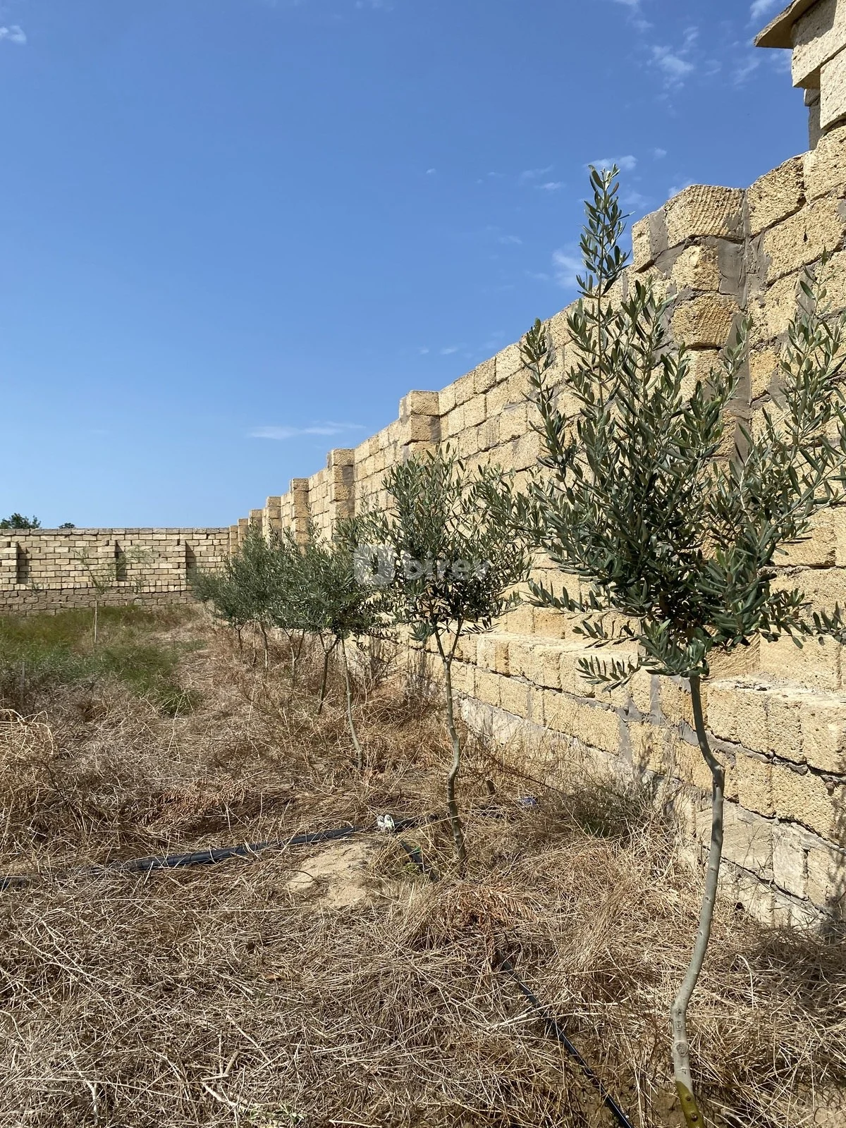 12 sot torpaq, Nardaran q., Nardaran qəs., Sabunçu rayonu — şəkil 8