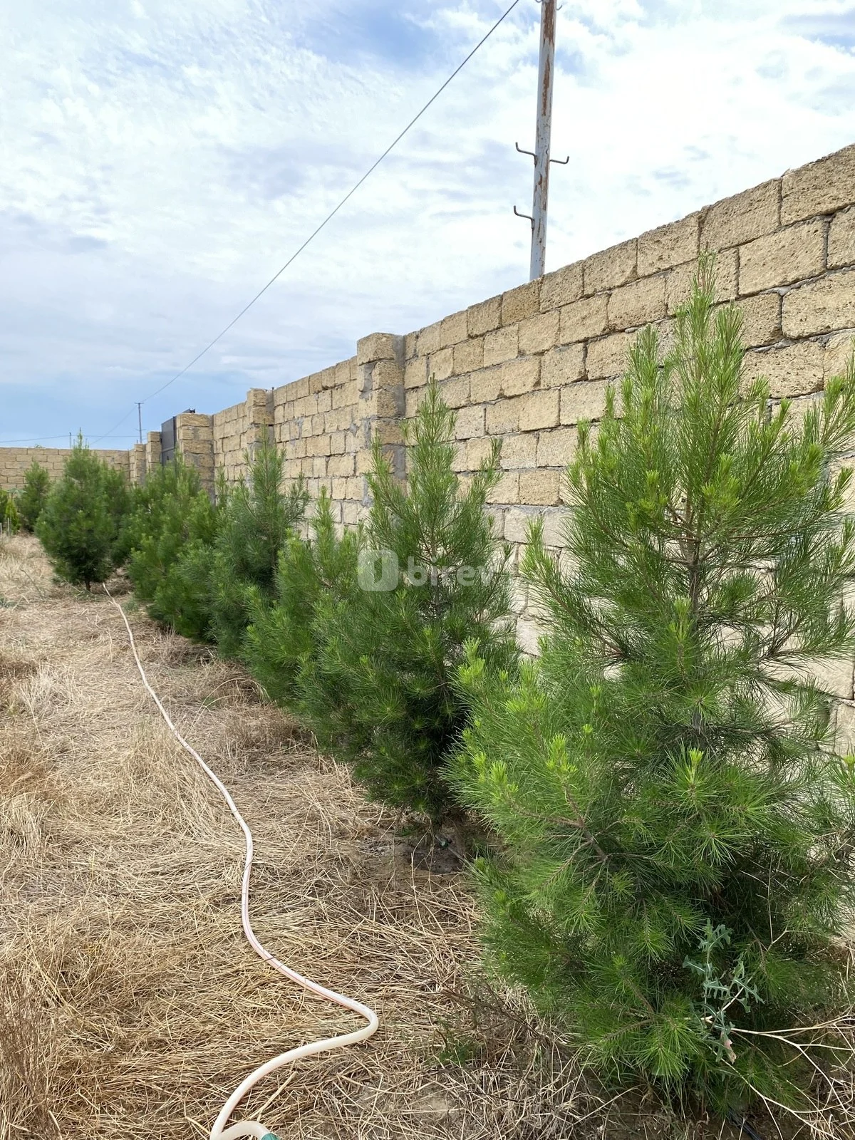 12 sot torpaq, Nardaran q., Nardaran qəs., Sabunçu rayonu — şəkil 9