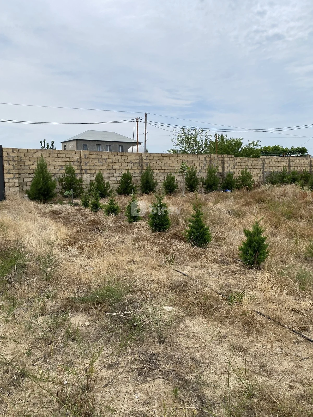 12 sot torpaq, Nardaran q., Nardaran qəs., Sabunçu rayonu — şəkil 10