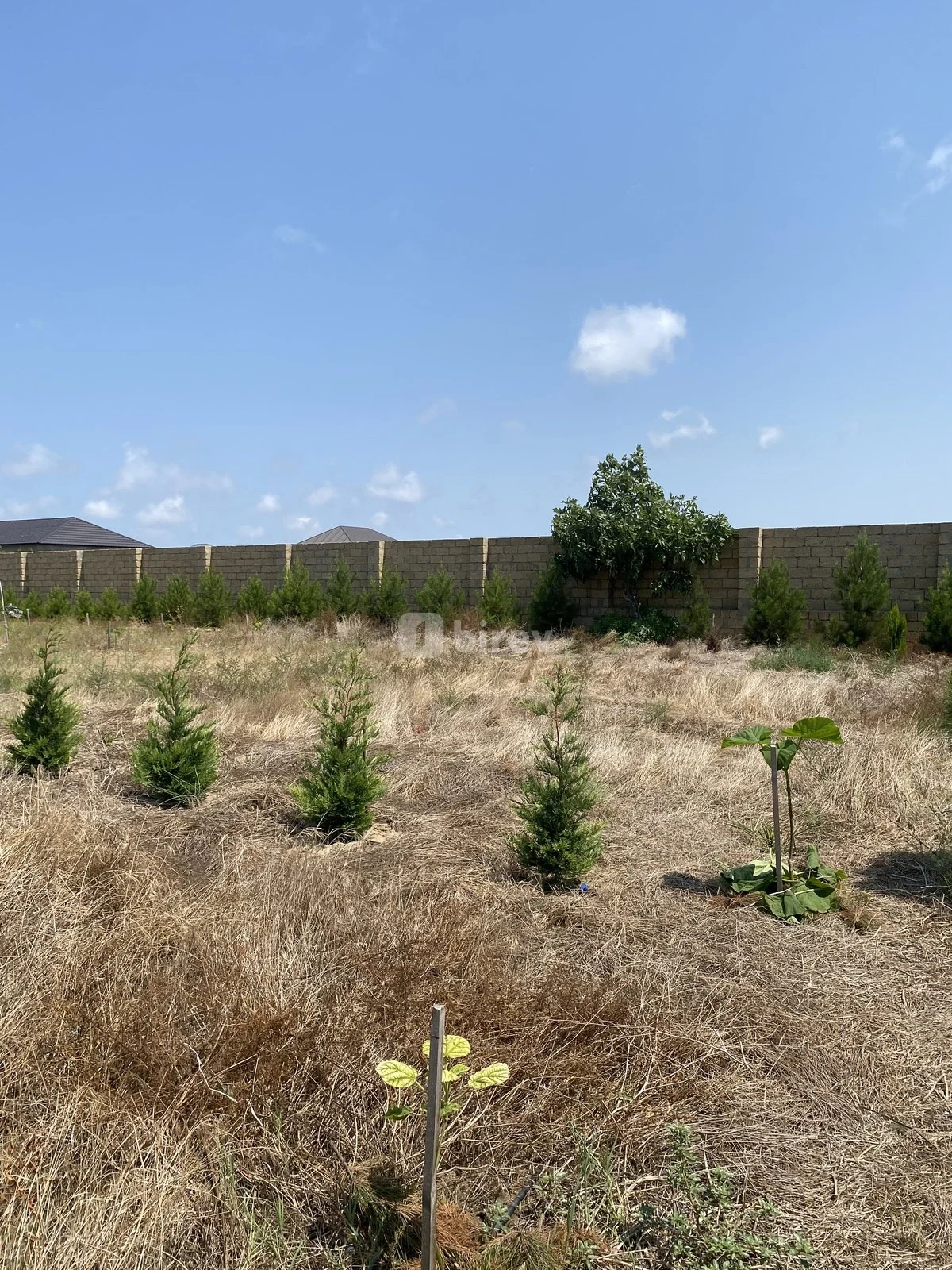 12 sot torpaq, Nardaran q., Nardaran qəs., Sabunçu rayonu — şəkil 12