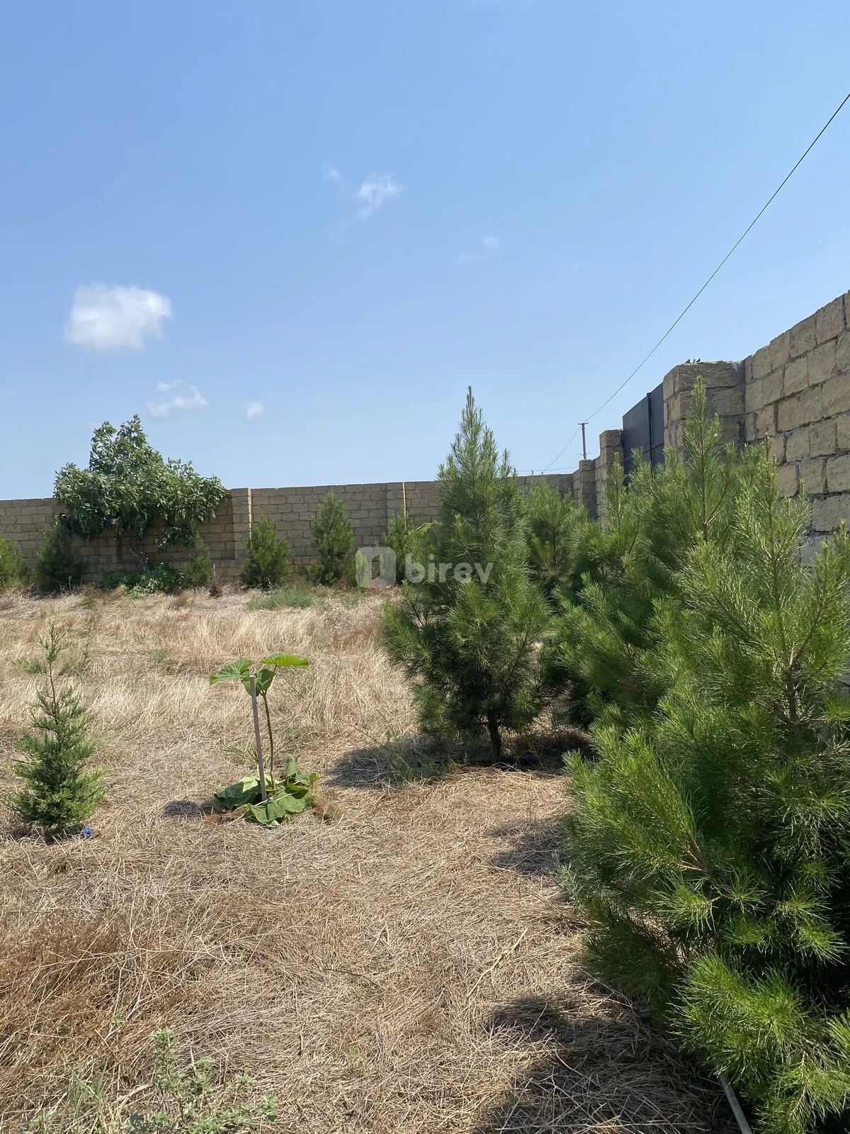 12 sot torpaq, Nardaran q., Nardaran qəs., Sabunçu rayonu — şəkil 13