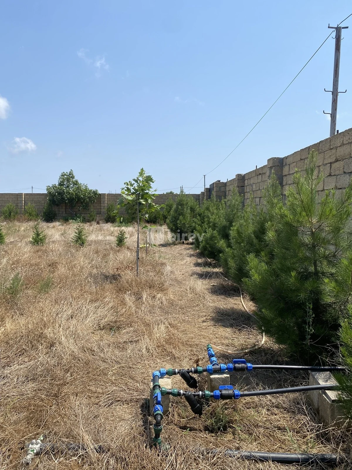 12 sot torpaq, Nardaran q., Nardaran qəs., Sabunçu rayonu — şəkil 14