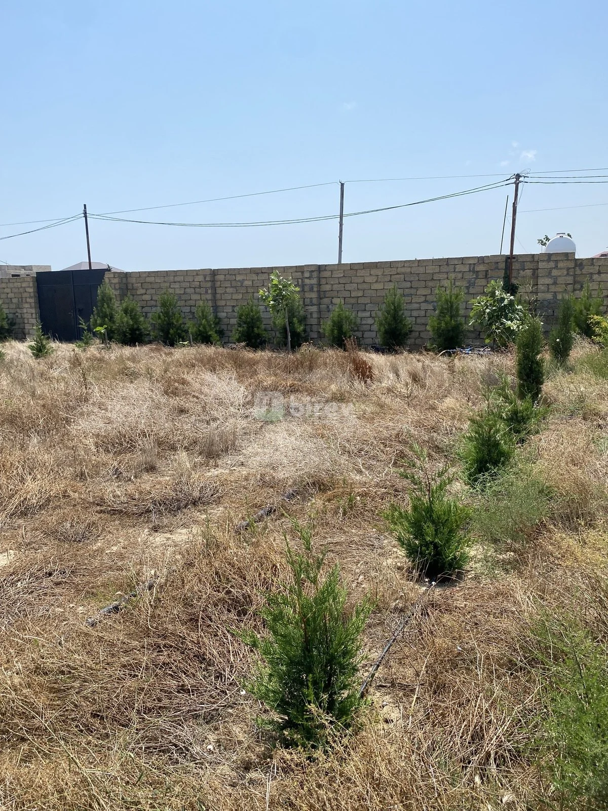 12 sot torpaq, Nardaran q., Nardaran qəs., Sabunçu rayonu — şəkil 15