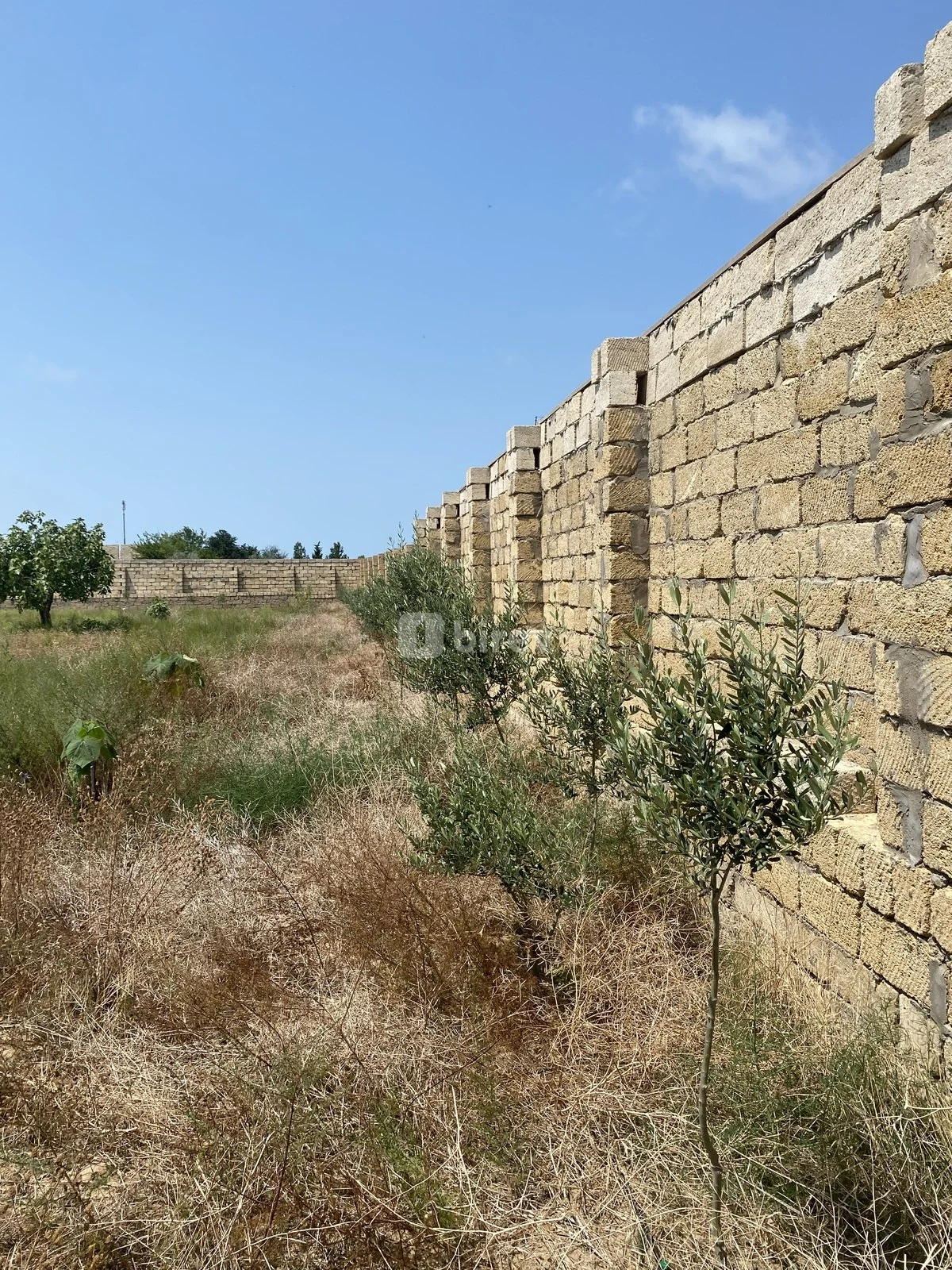 12 sot torpaq, Nardaran q., Nardaran qəs., Sabunçu rayonu — şəkil 16
