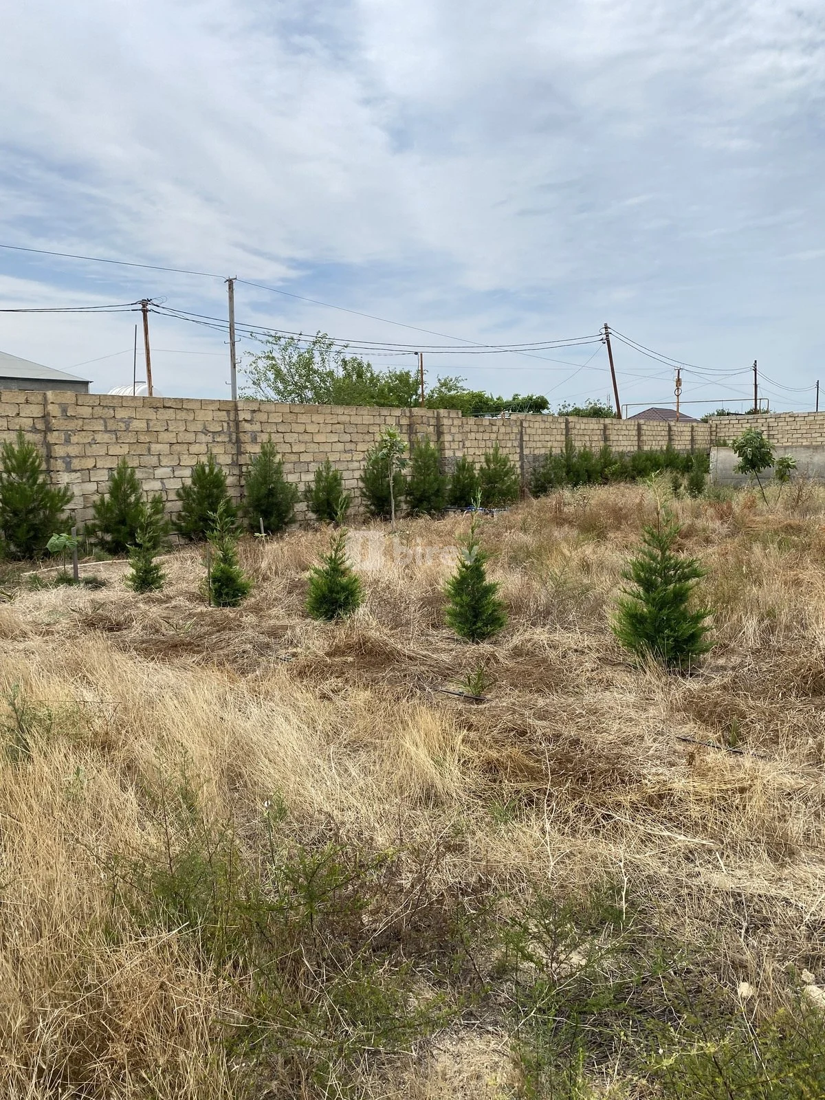 12 sot torpaq, Nardaran q., Nardaran qəs., Sabunçu rayonu — şəkil 18