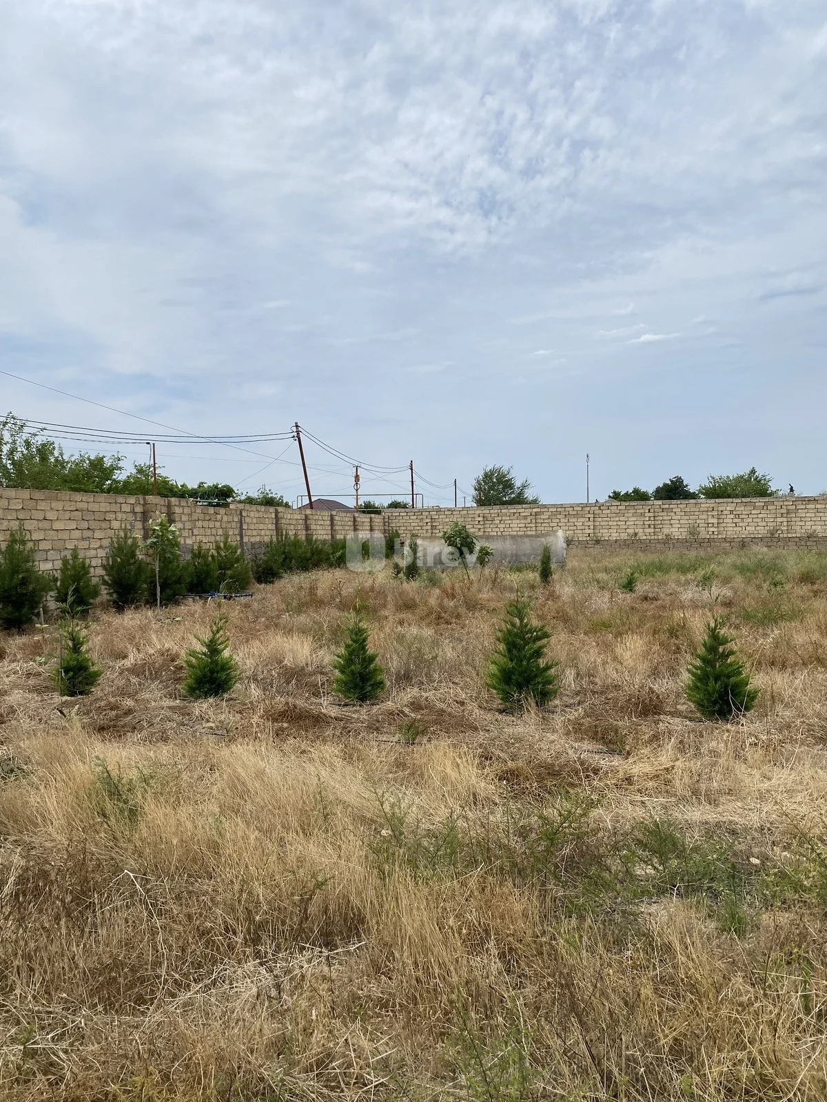 12 sot torpaq, Nardaran q., Nardaran qəs., Sabunçu rayonu — şəkil 19