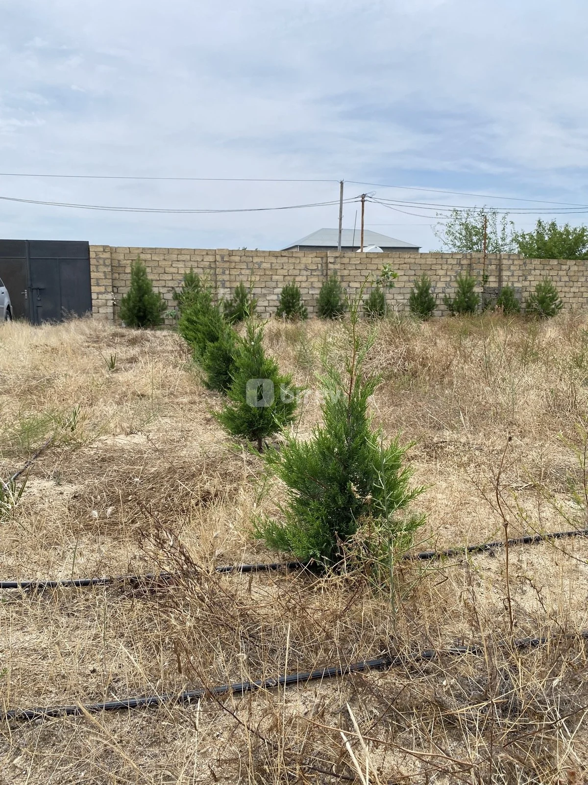 12 sot torpaq, Nardaran q., Nardaran qəs., Sabunçu rayonu — şəkil 21