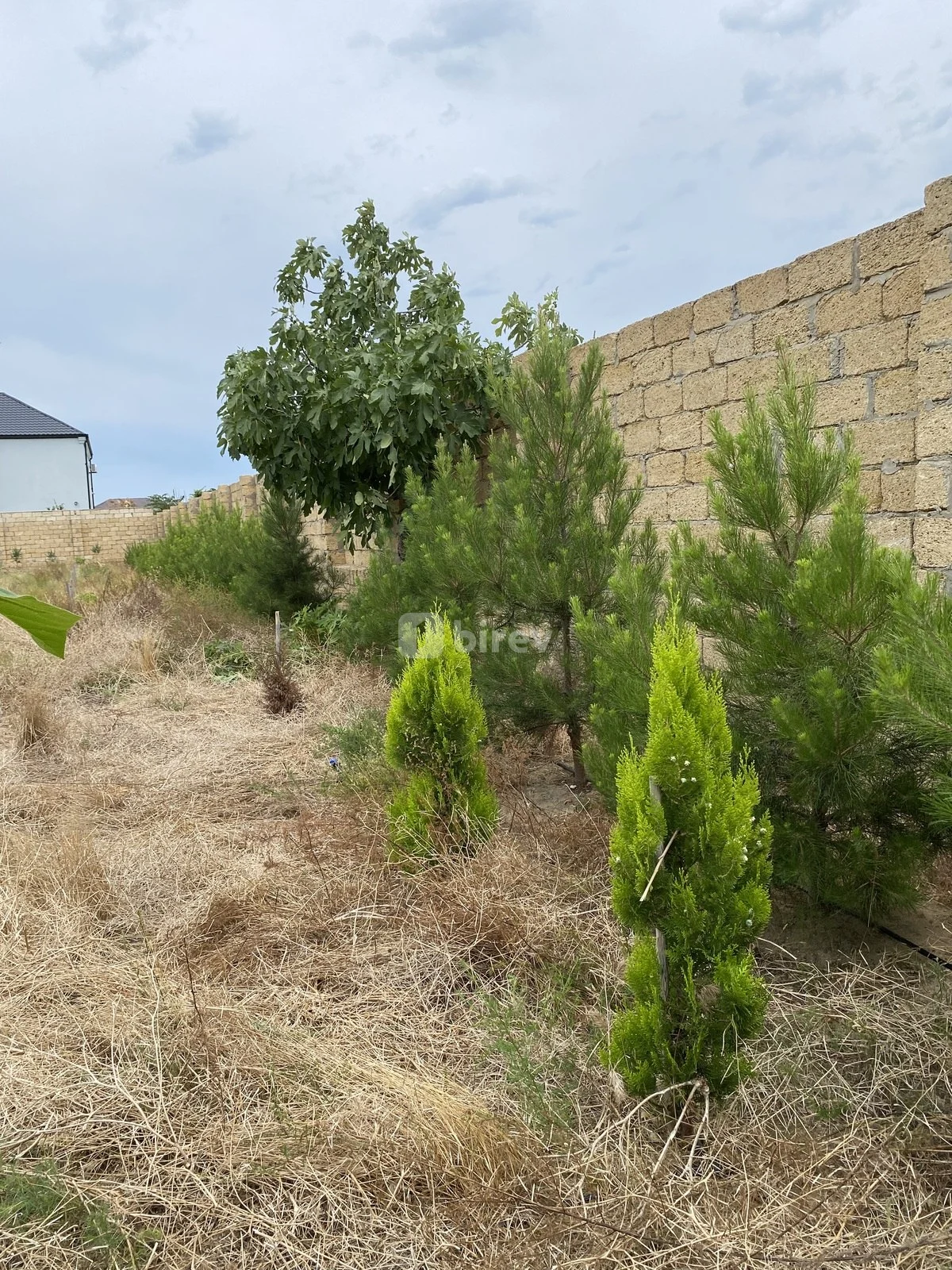 12 sot torpaq, Nardaran q., Nardaran qəs., Sabunçu rayonu — şəkil 22