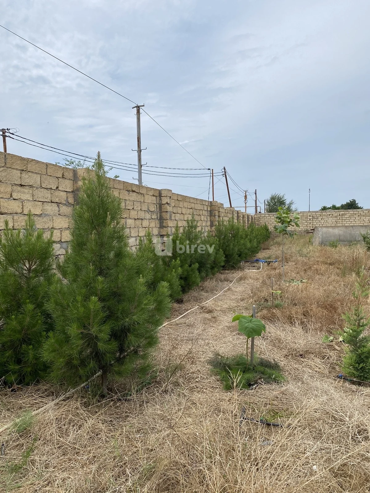 12 sot torpaq, Nardaran q., Nardaran qəs., Sabunçu rayonu — şəkil 24
