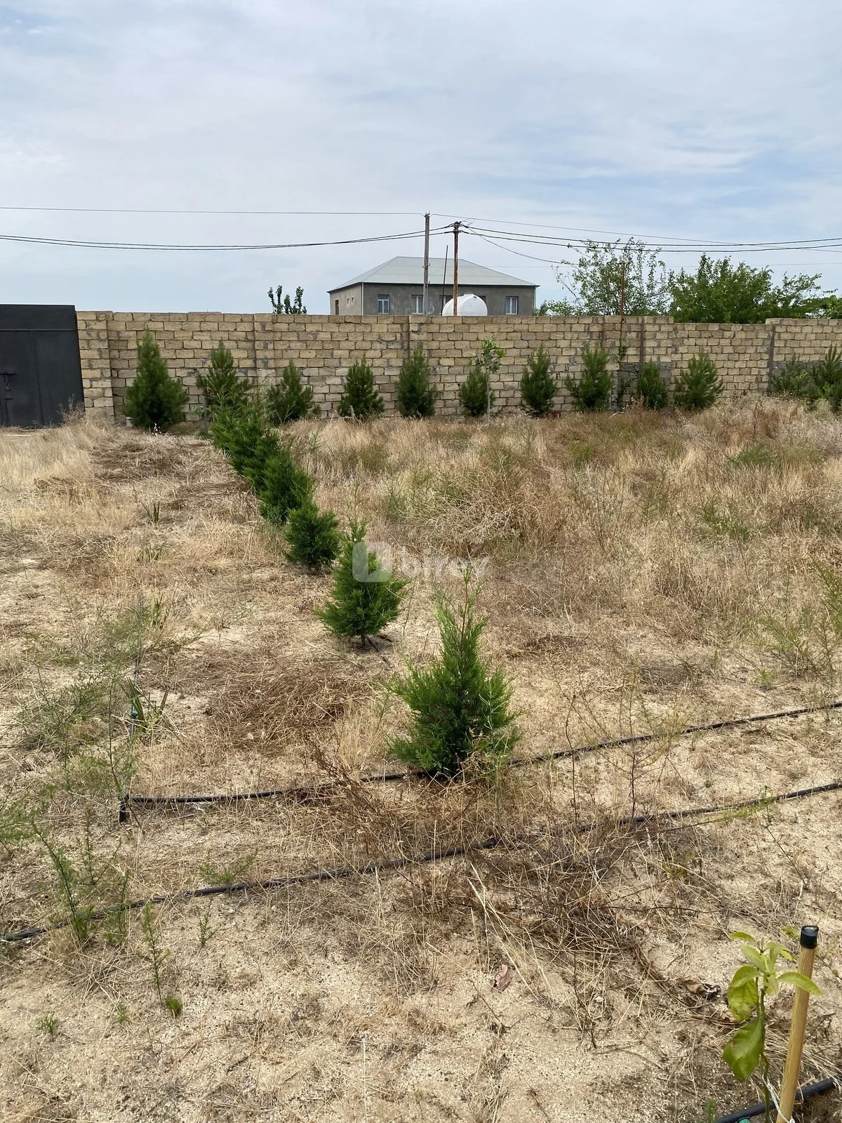 12 sot torpaq, Nardaran q., Nardaran qəs., Sabunçu rayonu — şəkil 25