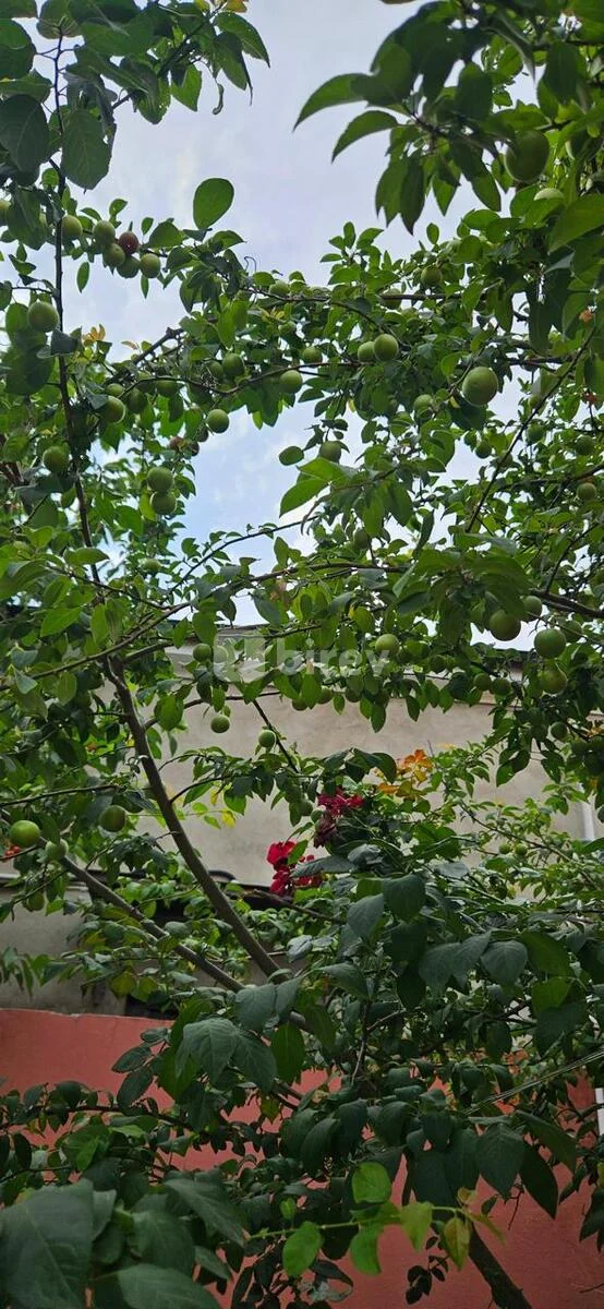 4 otaqlı həyət evi, Binə q., Binə qəsəbəsi, Xəzər rayonu — şəkil 15