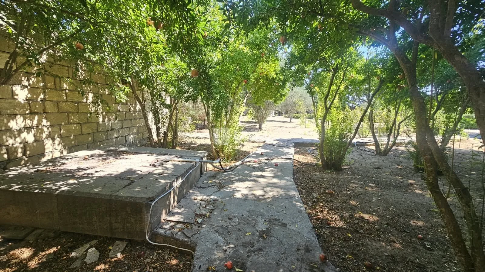 3 otaqlı həyət evi, Albalılıq q., Cəmşid Naxçivanski küç., Sabunçu rayonu — şəkil 18