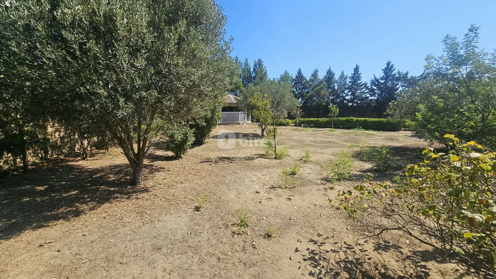 3 otaqlı həyət evi, Albalılıq q., Cəmşid Naxçivanski küç., Sabunçu rayonu — şəkil 22