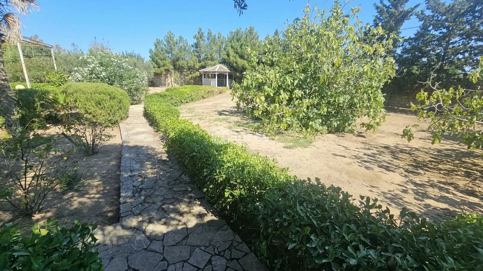 3 otaqlı həyət evi, Albalılıq q., Cəmşid Naxçivanski küç., Sabunçu rayonu — şəkil 24