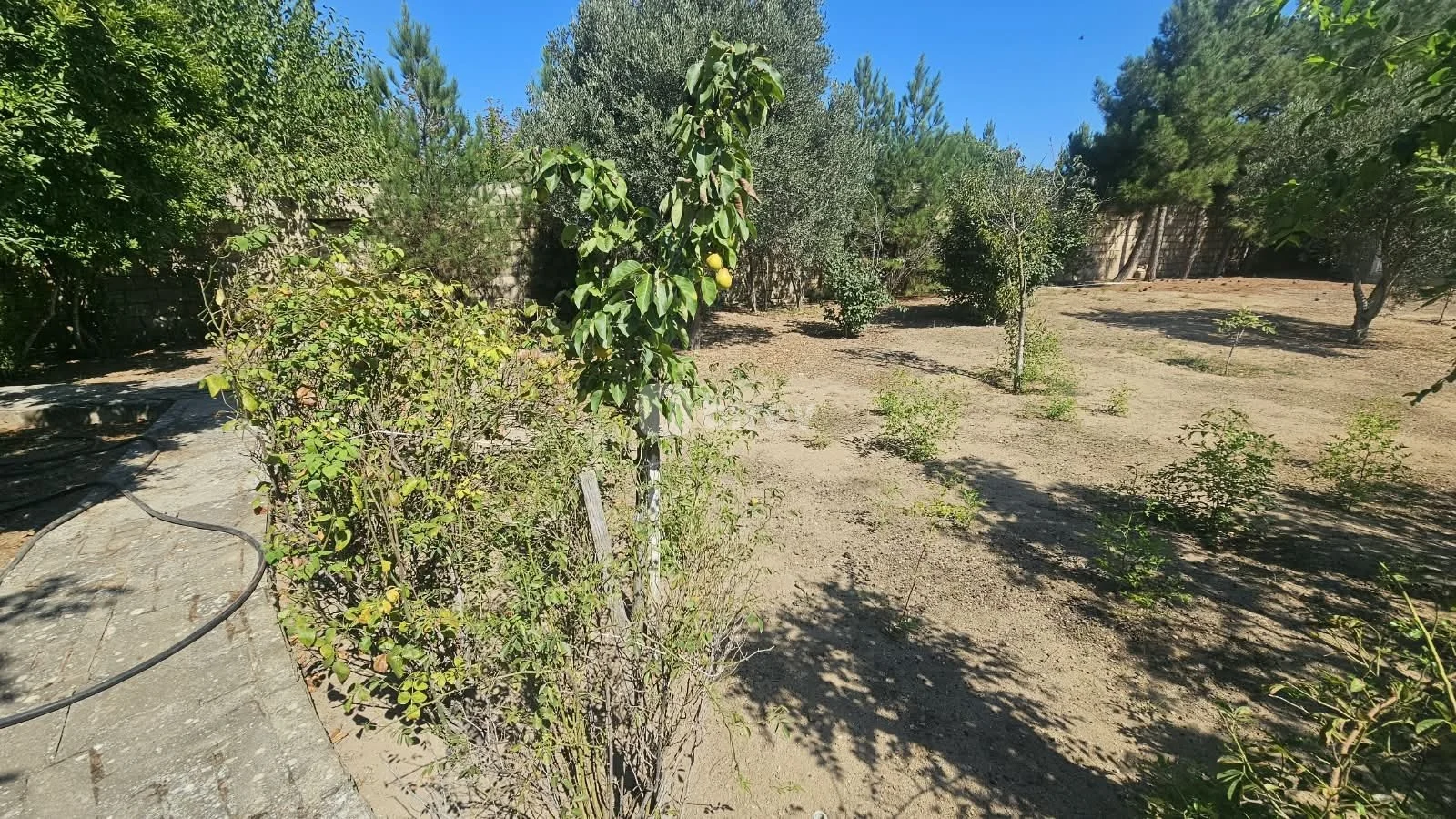 3 otaqlı həyət evi, Albalılıq q., Cəmşid Naxçivanski küç., Sabunçu rayonu — şəkil 25