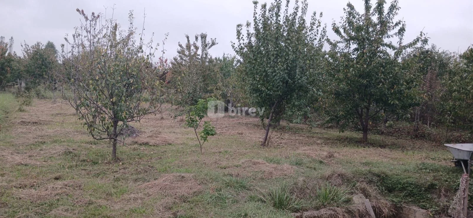 4 otaqlı həyət evi, Quba rayonu, Quba rayonu — şəkil 10