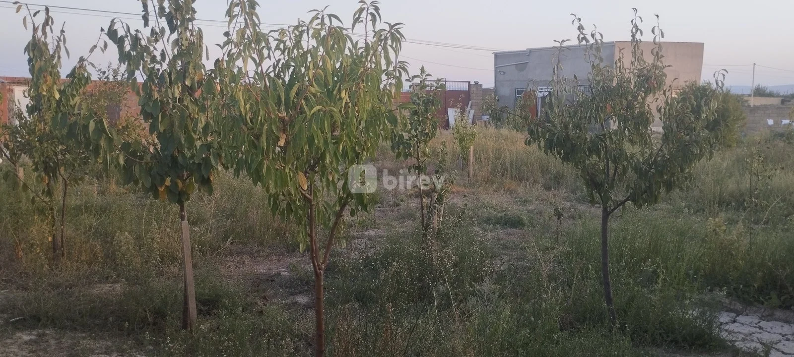 3 otaqlı həyət evi, Sumqayıt şəhəri, Yaşma bağları, Sumqayıt şəhəri — şəkil 13