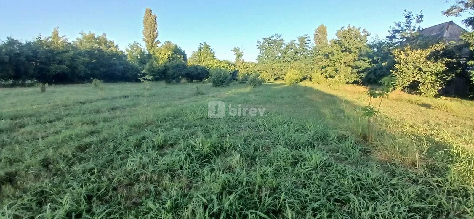 20 sot torpaq, Qəbələ rayonu, Qəbələ Daşca kənd, Qəbələ rayonu — şəkil 3