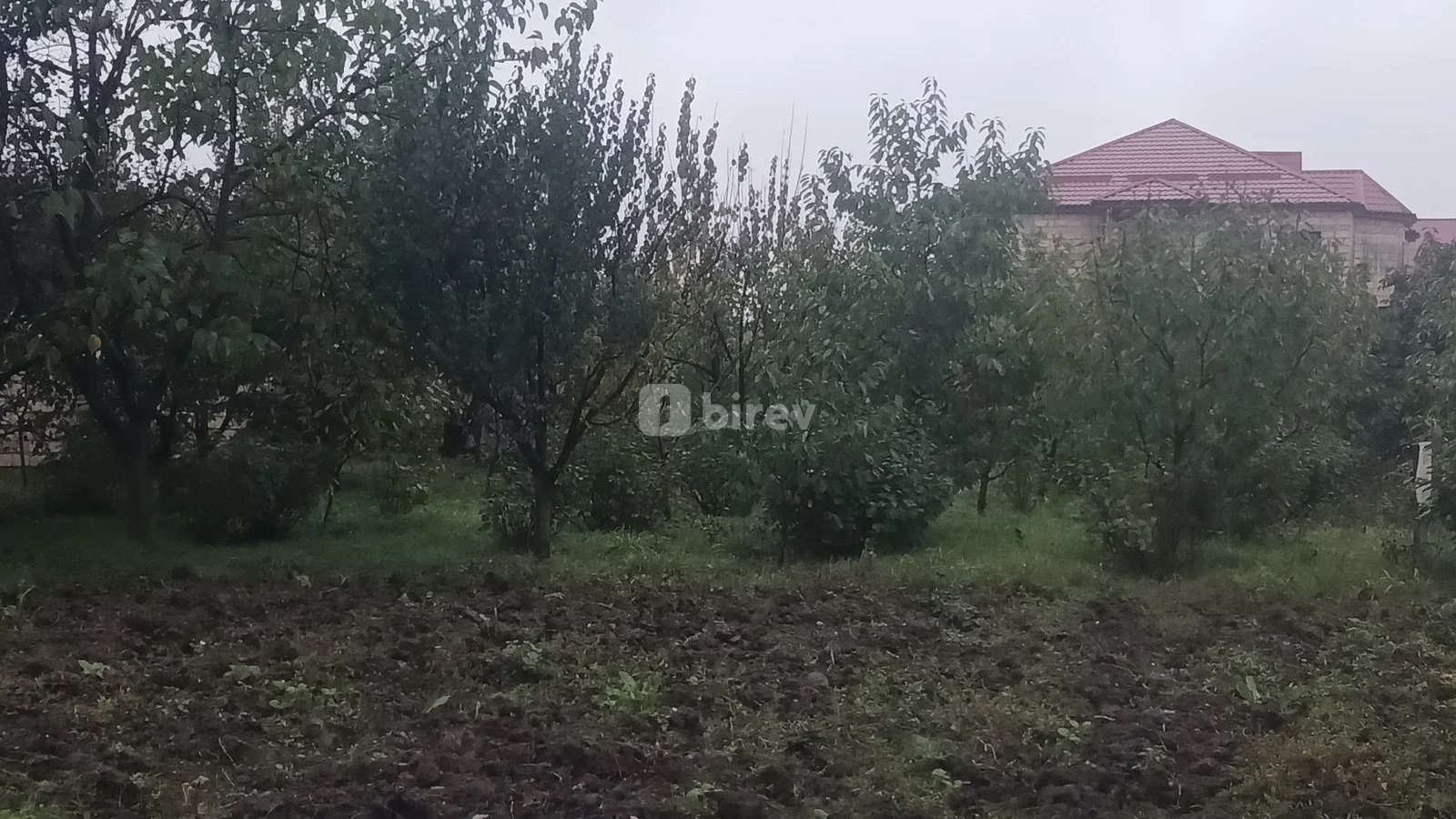 8 sot torpaq, Quba rayonu, Quba rayonu — şəkil 4