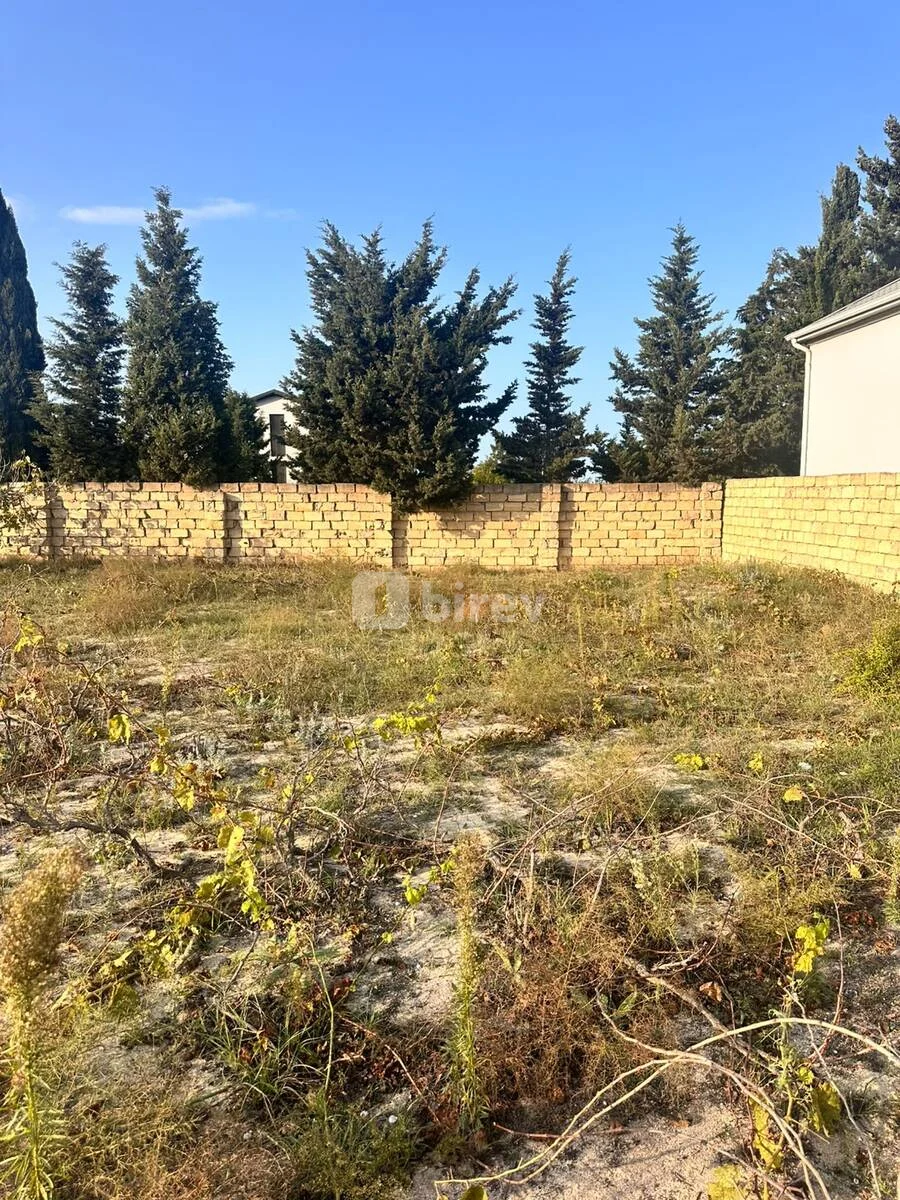 5 sot torpaq, Görədil q., goradil baglari, Abşeron rayonu — şəkil 5