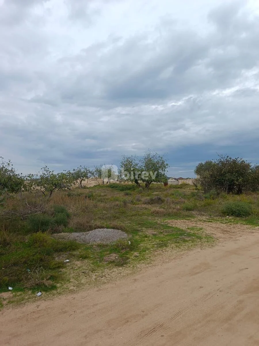 17 sot torpaq, Nardaran q., Nardaran qəs., Sabunçu rayonu — şəkil 1