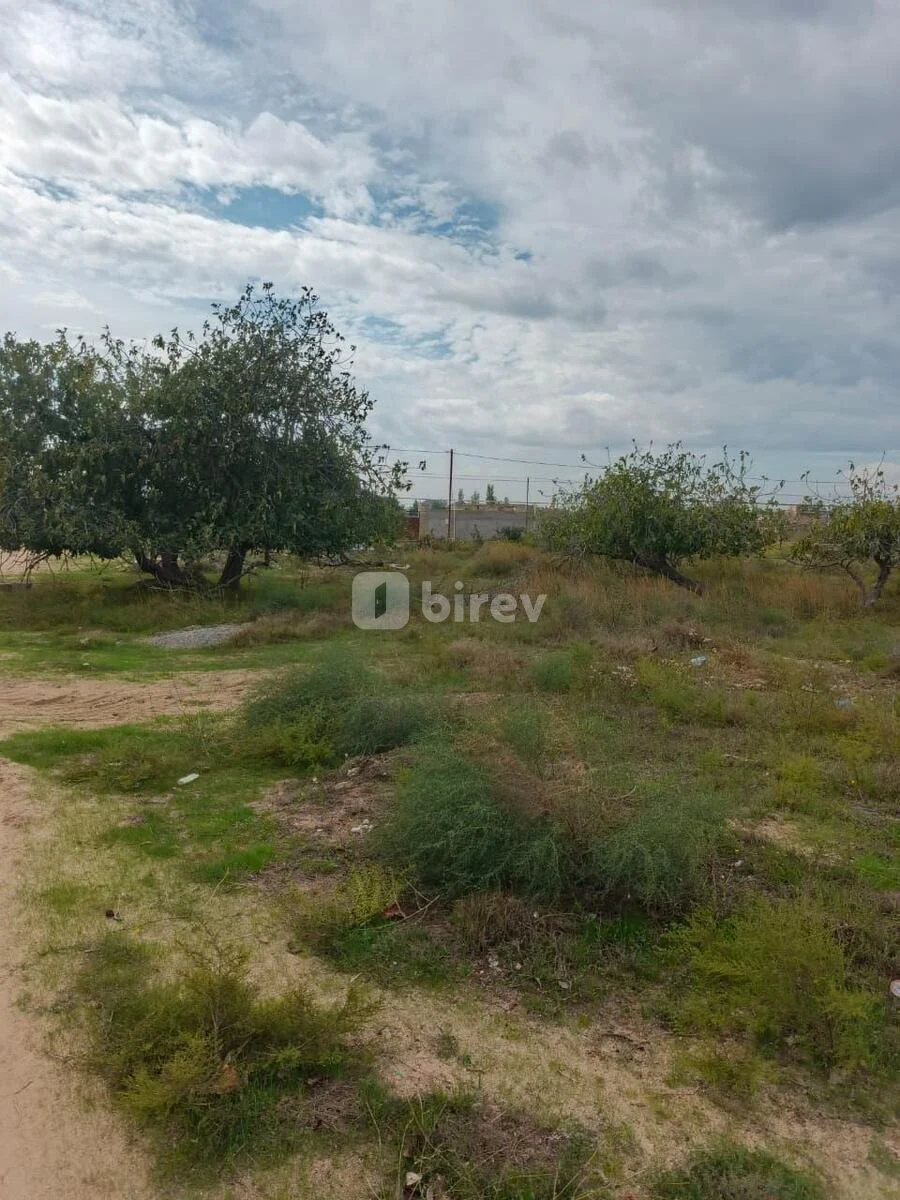 17 sot torpaq, Nardaran q., Nardaran qəs., Sabunçu rayonu — şəkil 2