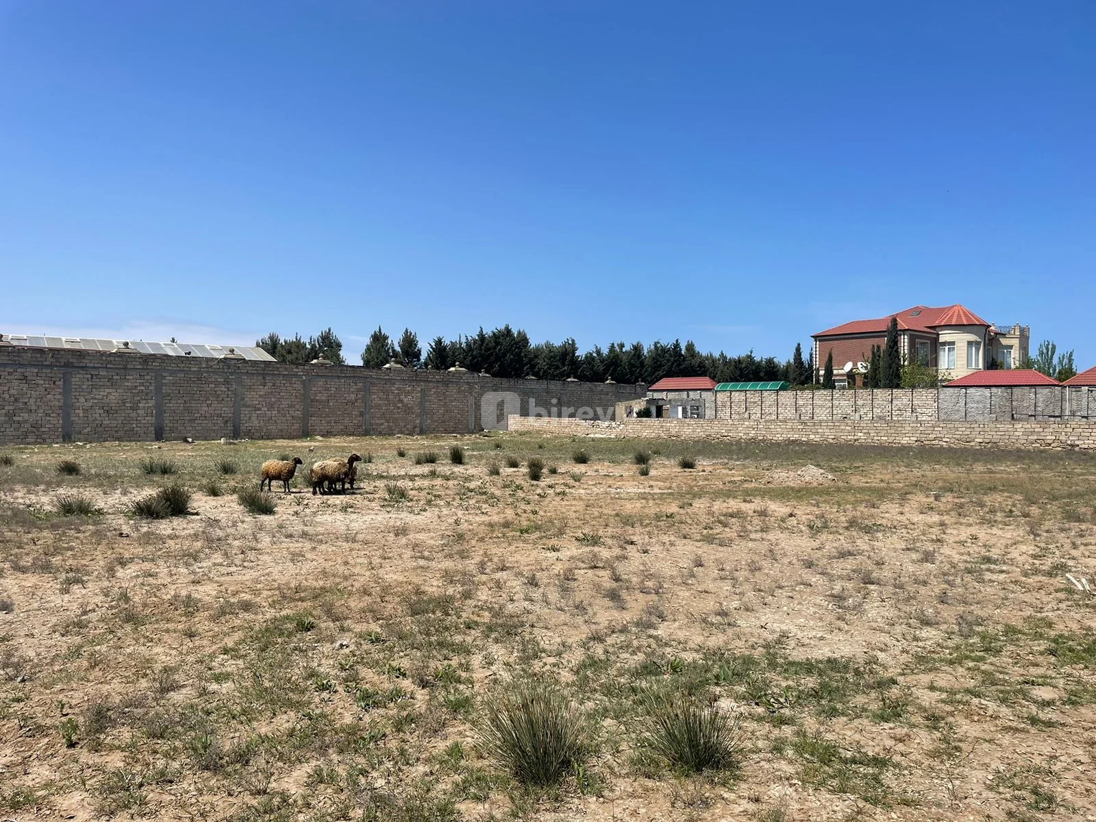50 sot torpaq, Mərdəkan q., Mərdəkan qəs, Xəzər rayonu — şəkil 5