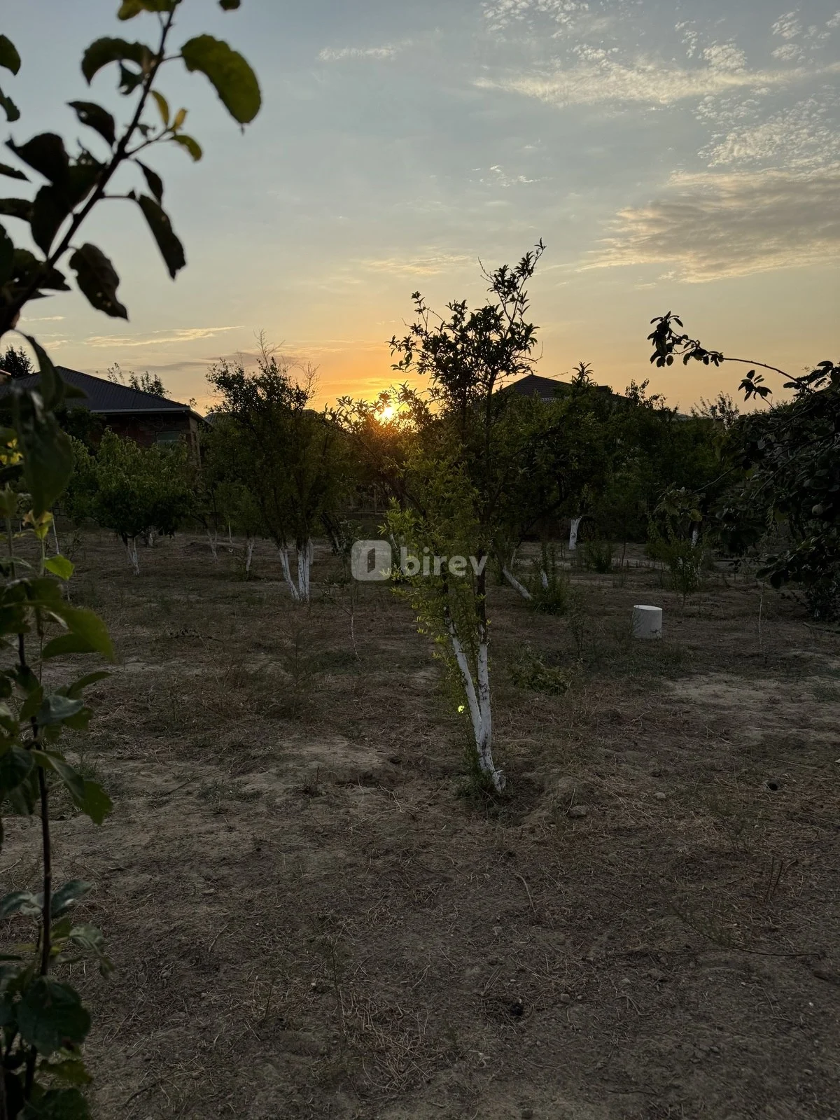 12 sot torpaq, Saray q., Heydər Əliyev pr, Abşeron rayonu — şəkil 4