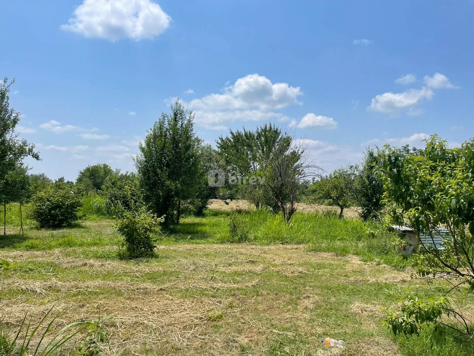 80 sot torpaq, Qəbələ rayonu, Xırxatala kəndi. — şəkil 1