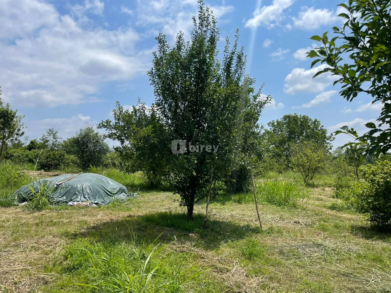 80 sot torpaq, Qəbələ rayonu, Xırxatala kəndi. — şəkil 2