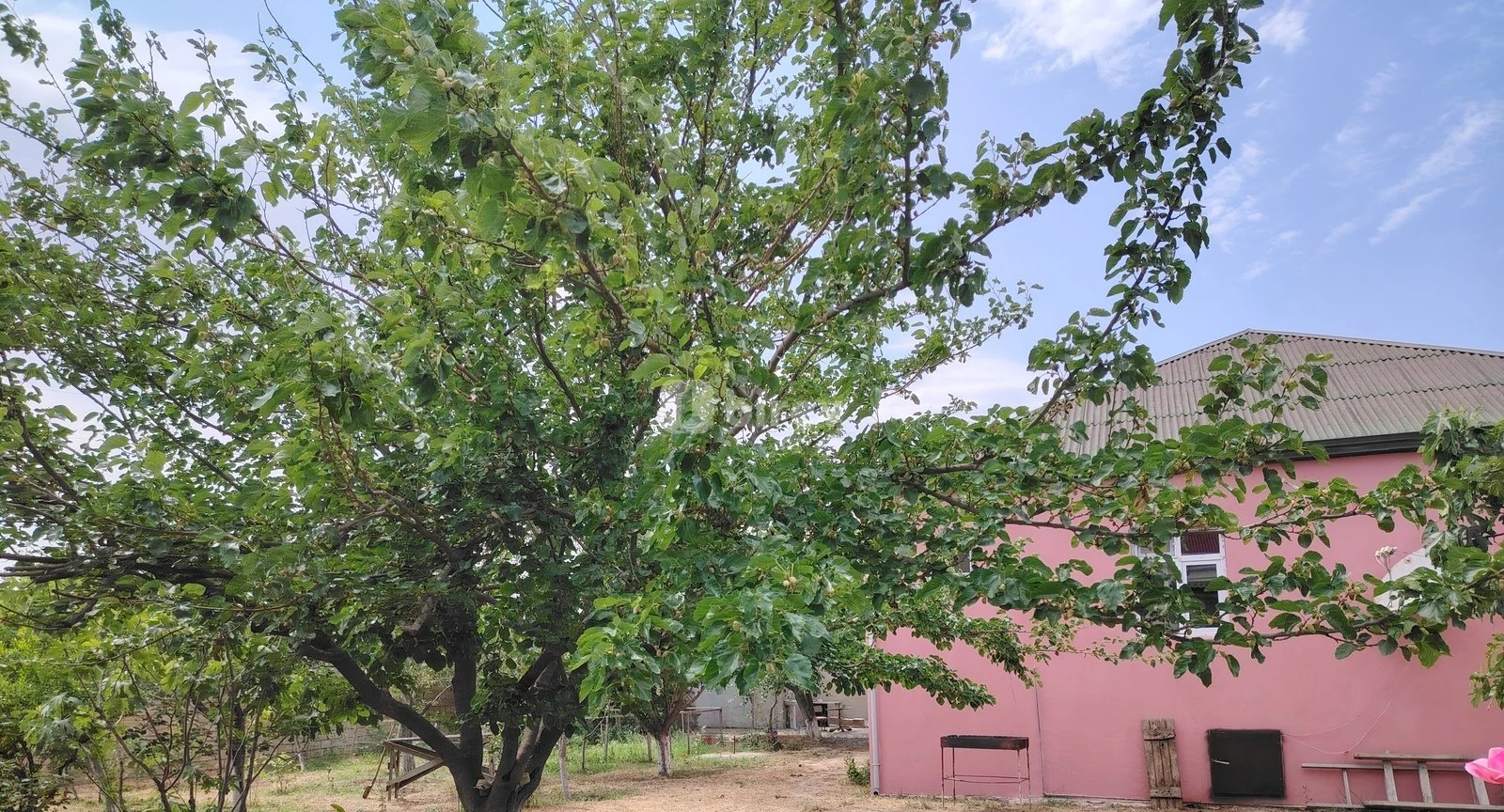4 otaqlı həyət evi, Saray q., Saray qəsəbəsi, Abşeron rayonu — şəkil 3